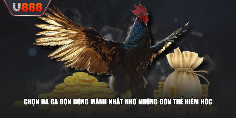 Chọn đá gà đòn dũng mãnh nhất nhờ những đòn thế hiểm hóc