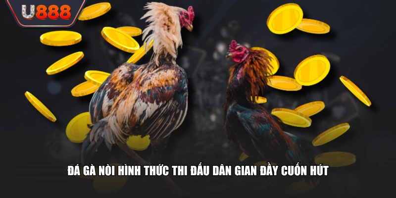 Đá gà nòi hình thức thi đấu dân gian đầy cuốn hút