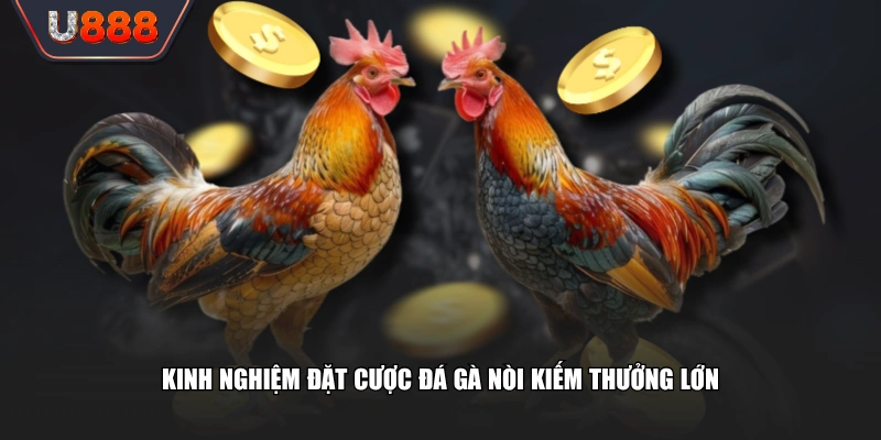 Kinh nghiệm đặt cược đá gà nòi kiếm thưởng lớn