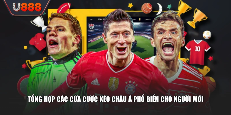 Tổng hợp các cửa cược kèo châu Á phổ biến cho người mới