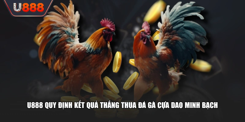 U888 quy định kết quả thắng thua đá gà cựa dao minh bạch