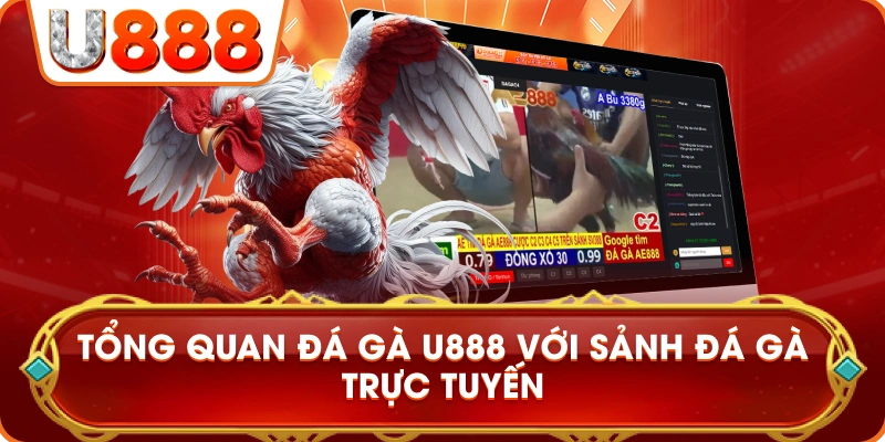 da_ga_u888_tong_quan_sanh_da_ga_truc_tuyen